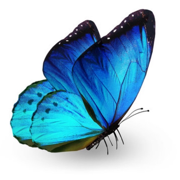 🦋Congratulations! 11/29/25 live #NEW #EUC #plus #Sale UNLISTED #bettertogether - Picture 6 of 6